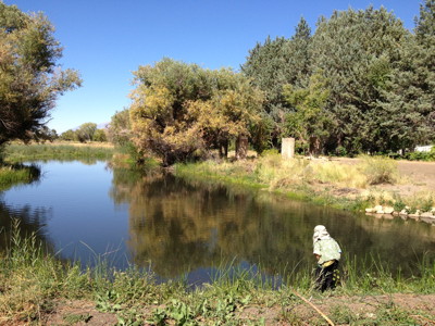 Conservation Open Space Area: Desert Fish Refuge Project