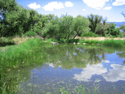 Conservation Open Space Area in Bishop