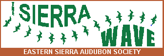 Sierra Wave -  Newsletter of the Eastern Sierra Audubon Society