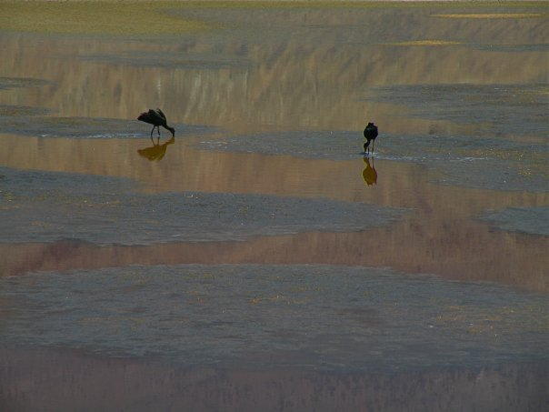Owens Lake, photo by Mike Prather