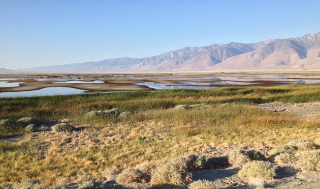 Many Habitats for birds at Owens Lake, Photo by Mike Prather