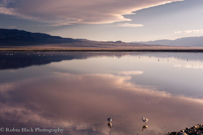 Owens Lake, Photo by Robin Black