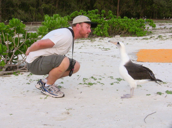 Bob Steele and Laysan Albatross, Midway Island