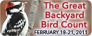 Great Backyard Bird Count: February 18-21, 2011