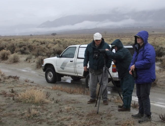 Birders spotting an eagle during the 2010 CBC