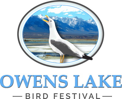 Owens Lake Bird Festival