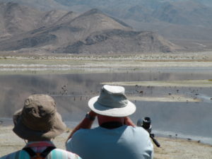 Birders on the Shore of the Owne's Lake